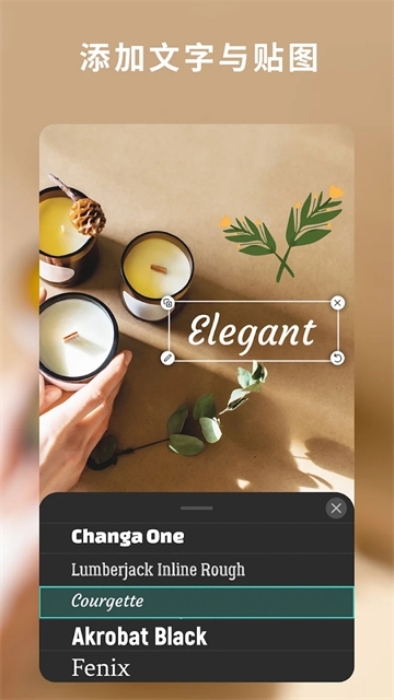 相片大师app下载最新版本安卓版