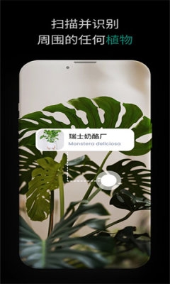 PlantIn安卓版最新版