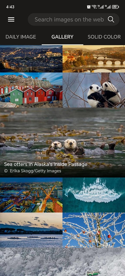 必应壁纸官网版下载安卓版