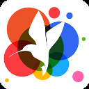 小鸟壁纸app官方版