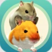 我的仓鼠下载