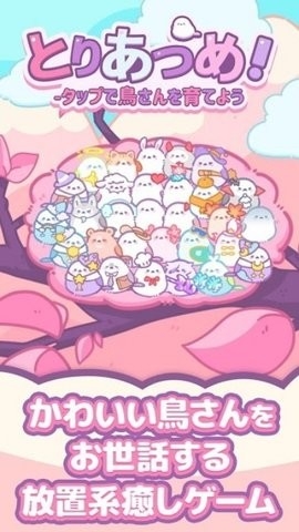 小鸟收集官方版