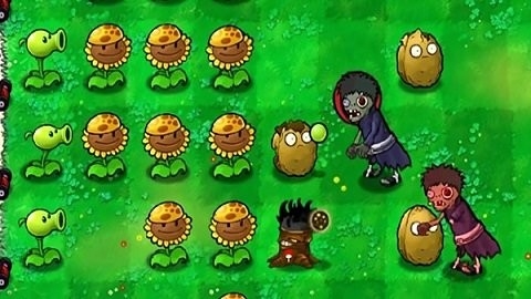 植物大战僵尸火影版下载官方正版