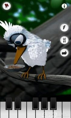 会说话的拉里鸟游戏下载