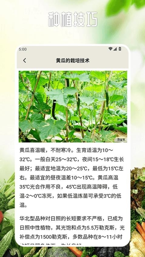 卖菜致富记app下载