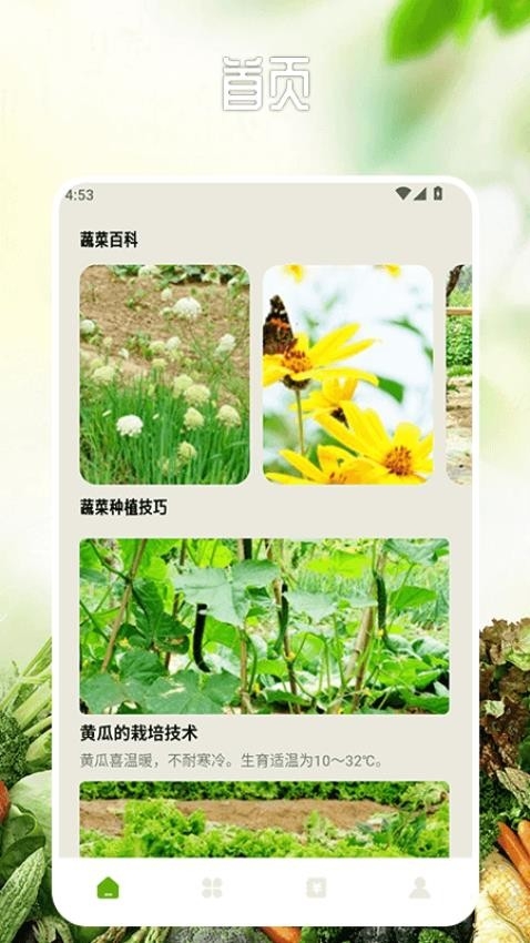 卖菜致富记app下载