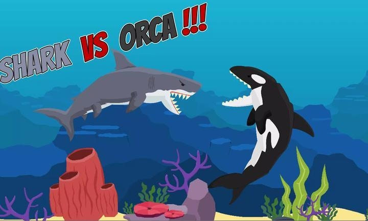 海洋霸主大白鲨VS虎鲸游戏下载
