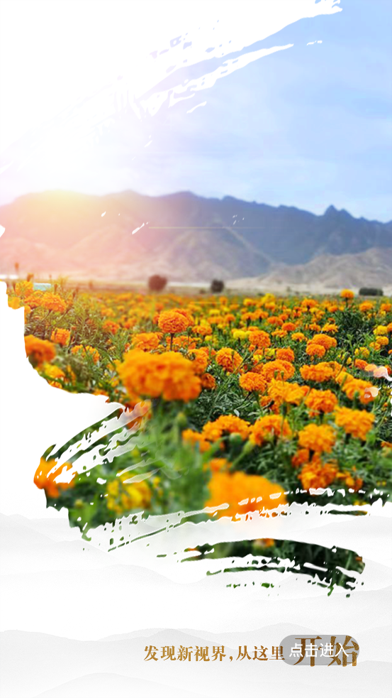 眼界新闻app下载安装最新版