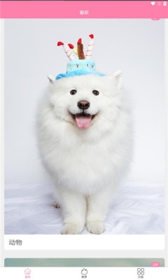 金鸡智库下载app