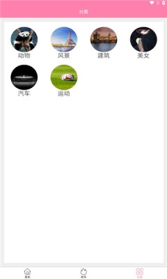 金鸡智库下载app