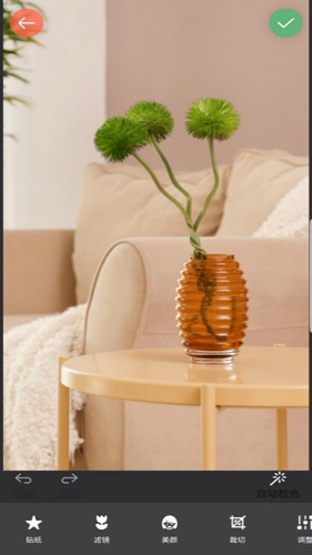 镜像相机app下载安装