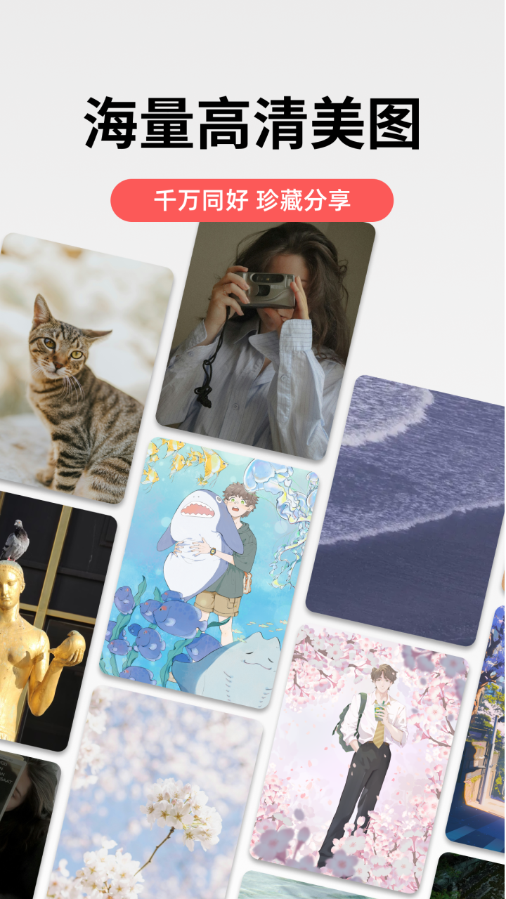 堆糖软件下载 免费