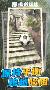 暴走的球球无广告版下载