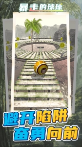 暴走的球球无广告版下载