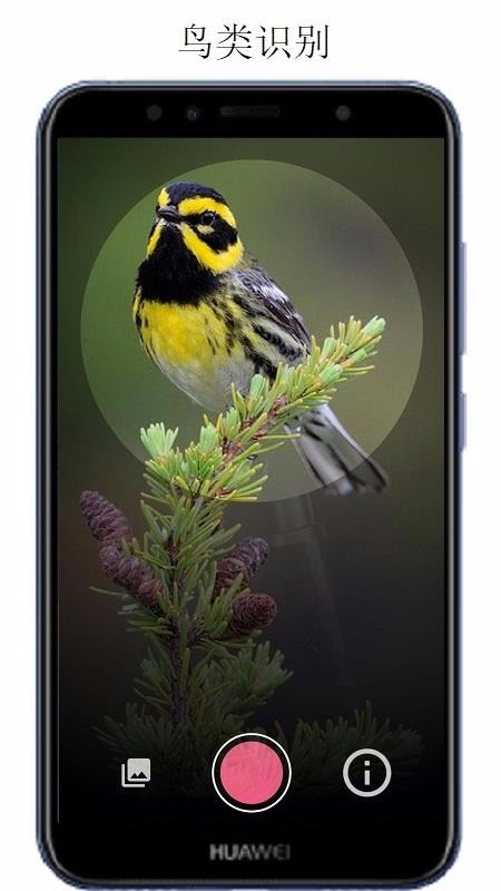 万物识别app下载