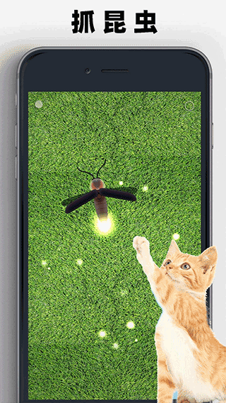 猫狗玩具模拟器下载中文版