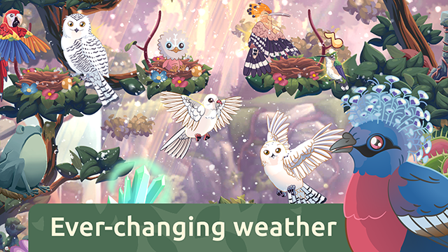 鸟类世界游戏下载