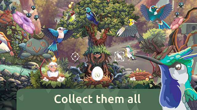 鸟类世界游戏下载