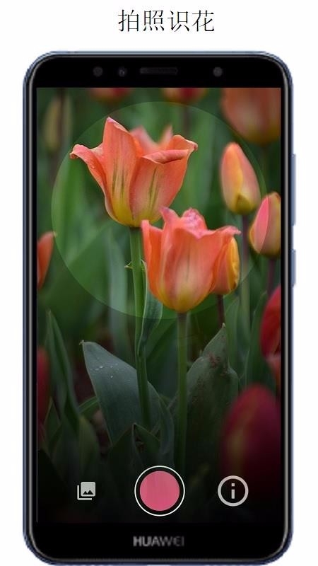 万物识别app下载