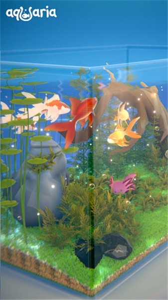 aqualia养鱼游戏下载