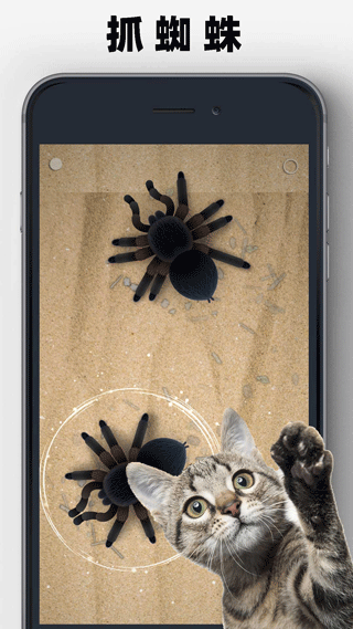 猫狗玩具模拟器下载中文版