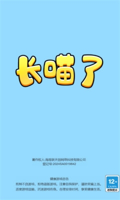 长喵了小游戏