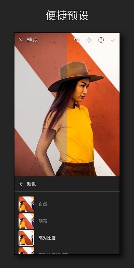 lightroom安卓版下载