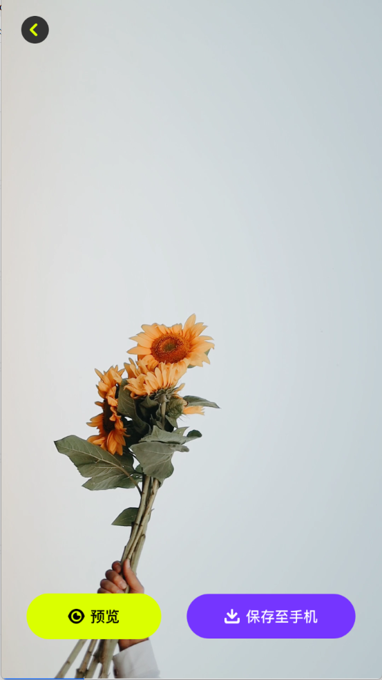 桌面壁纸精灵下载安装最新版