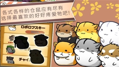 仓鼠的日常游戏下载