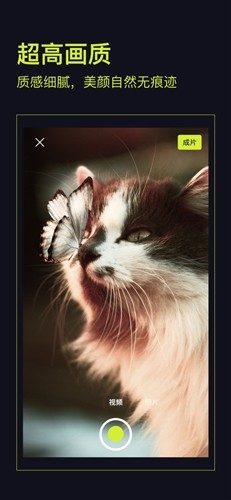 开拍app下载官方版正版