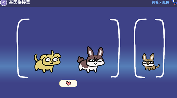 furry wisher最新版下载