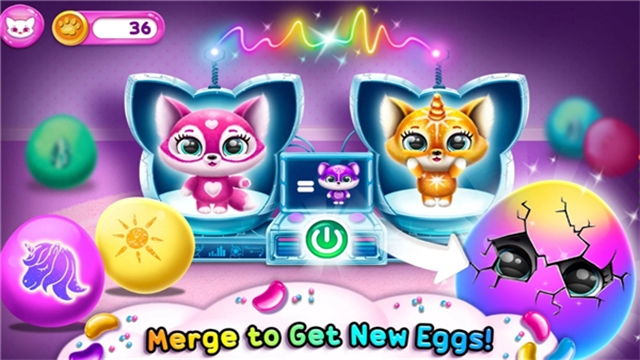 菲露茜斯宠物猫最新版下载