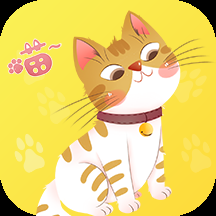 宠本本官方下载