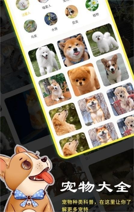 宠本本官方下载