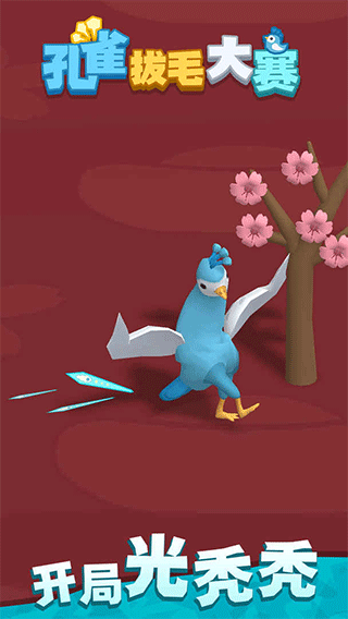 孔雀拔毛大赛下载