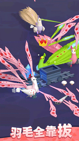 孔雀拔毛大赛下载