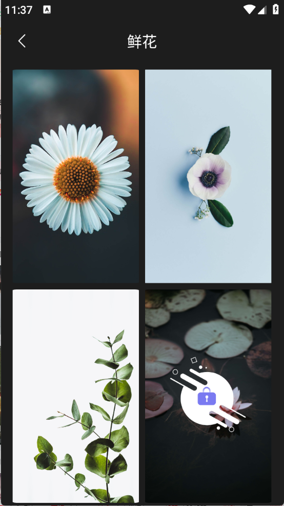 主题壁纸精选下载安装免费软件