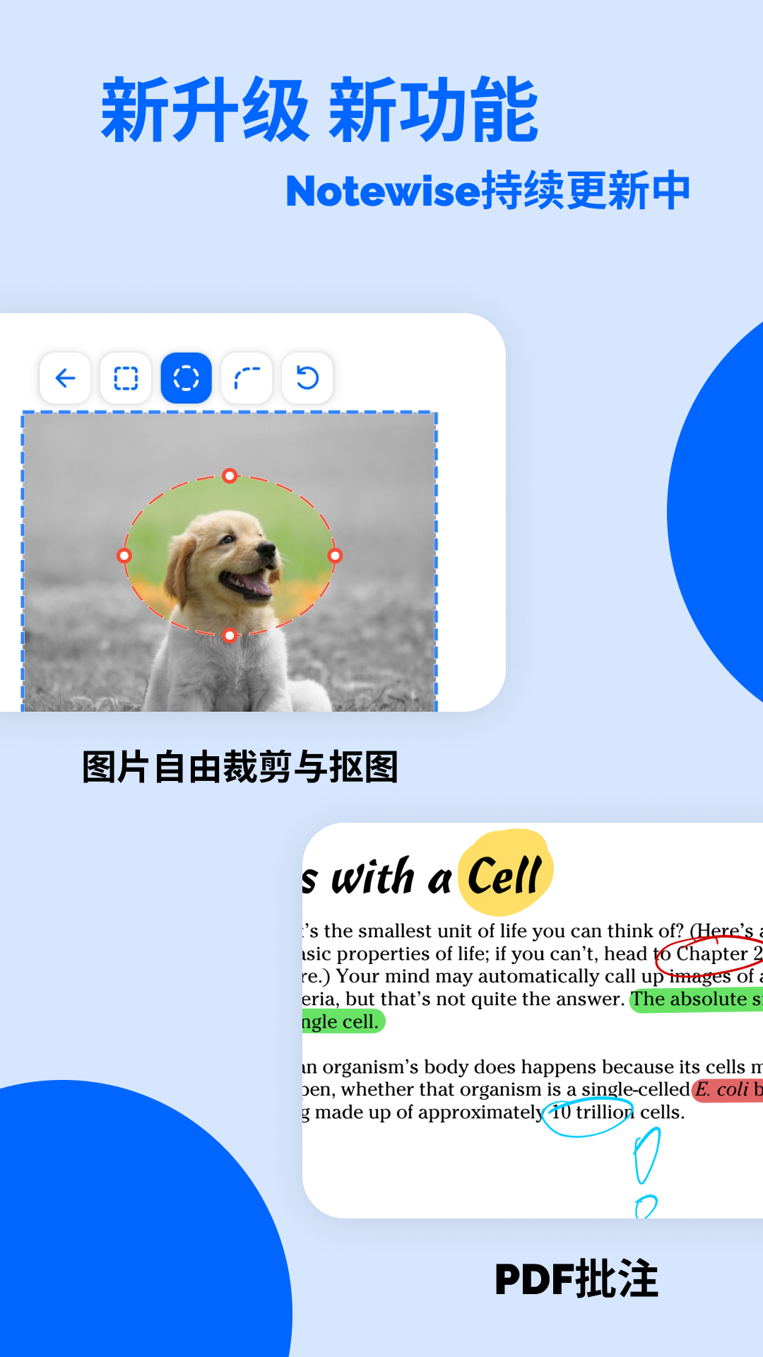 Notewise官网下载