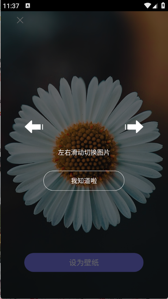 主题壁纸精选下载安装免费软件
