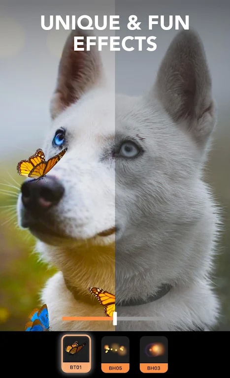 motionleap安卓版下载