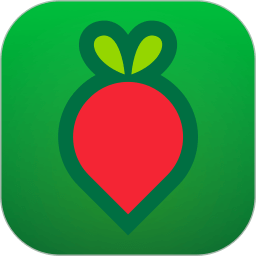 叮咚买菜app下载安装官网版