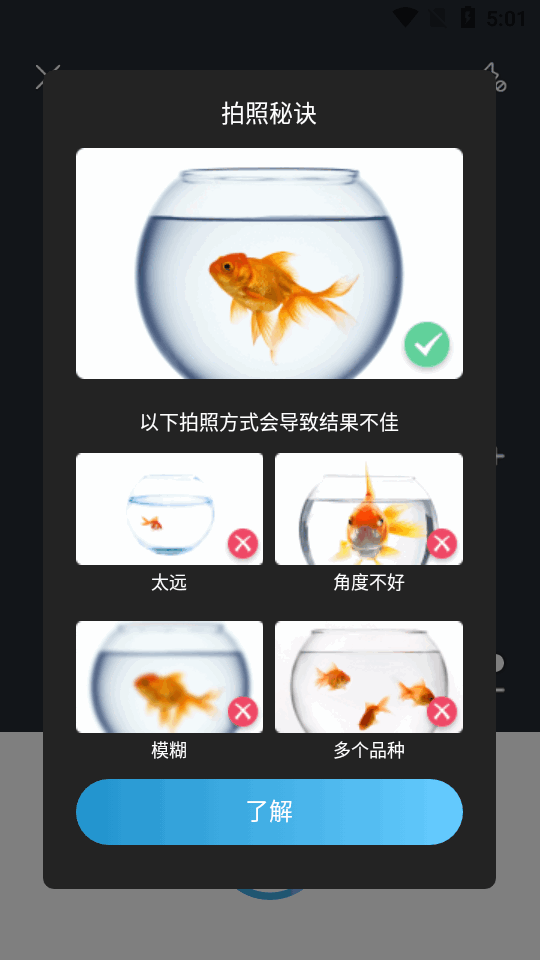 拍照识鱼app下载安装免费版
