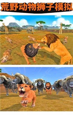 荒野动物狮子模拟下载