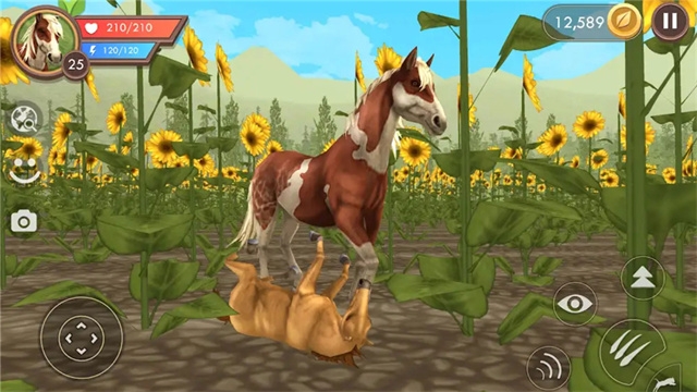 饿狼来了下载手机版