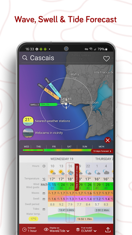 Windy气象官网下载