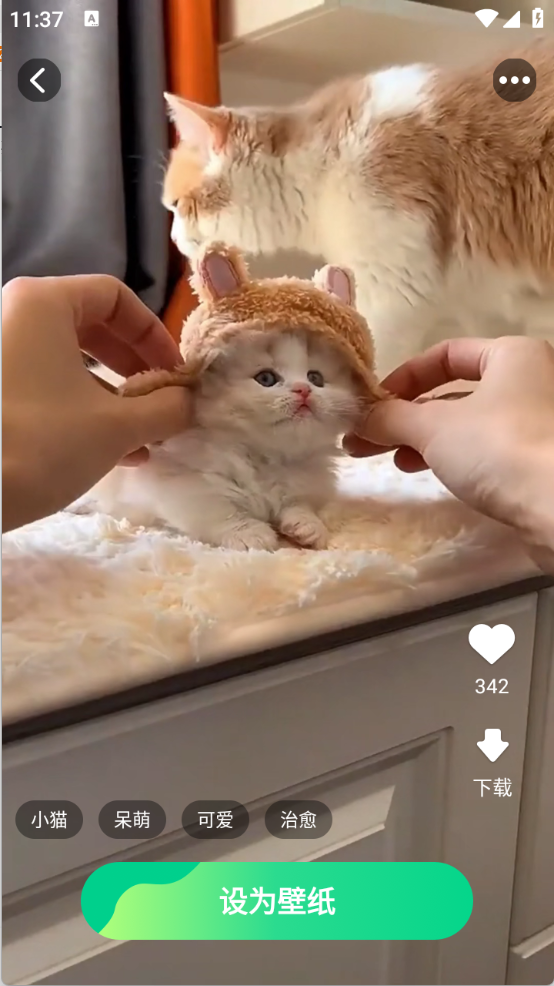 元气多多壁纸最新版下载