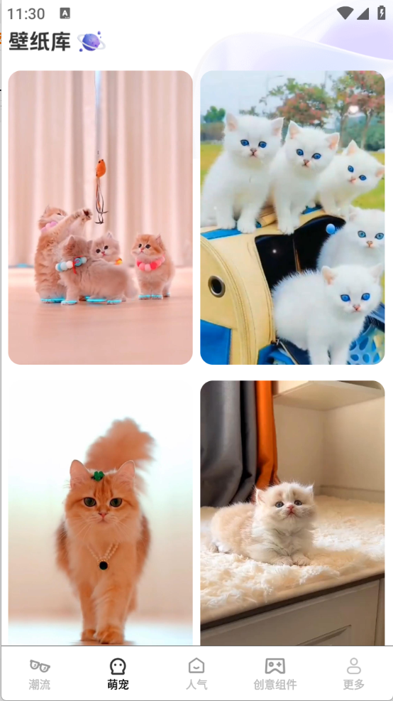 元气多多壁纸最新版下载