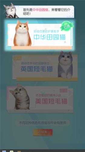 超喵星计划安卓版下载