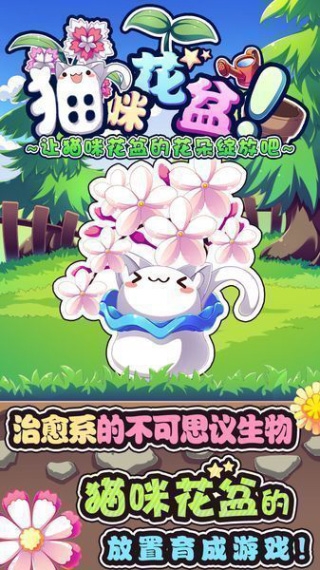 猫咪花盆下载app