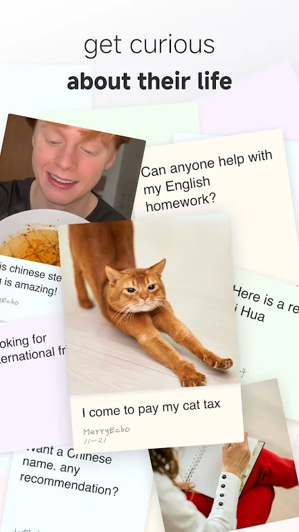 rednote小红书国际版下载